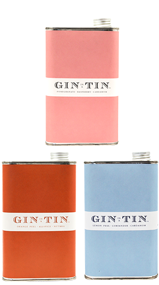 GIN IN A TIN Mixed Case 1 2 & 10 (6x500ml)