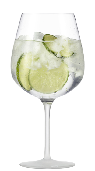 EISCH Secco Spritz Gin Tonic (2 Pack)  ()