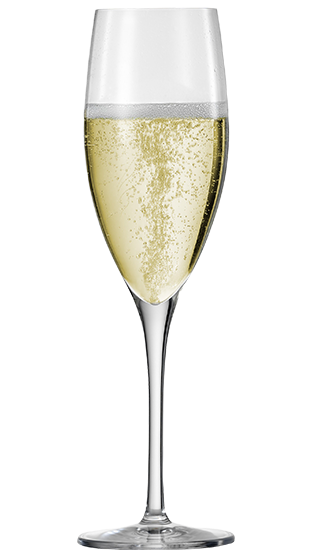 EISCH Sensis-Plus Champagne (2 Pack)  ()